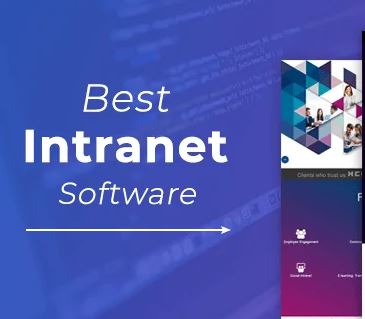 custom intranet software