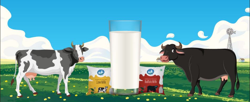 Wellhealthorganic.com: Buffalo Milk Good for Health